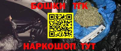 индика Пушкино