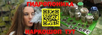 индика Пушкино