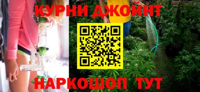 индика Пушкино